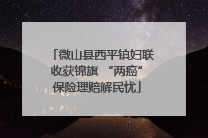 微山县西平镇妇联收获锦旗 “两癌”保险理赔解民忧