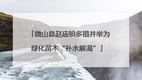 微山县赵庙镇多措并举为绿化苗木“补水解渴”