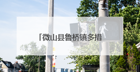 微山县鲁桥镇多措并举抓实 “三夏” 秸秆禁烧工作