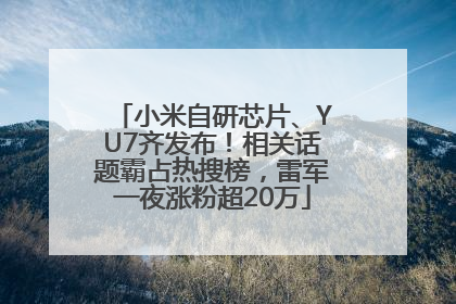 小米自研芯片、YU7齐发布！相关话题霸占热搜榜，雷军一夜涨粉超20万