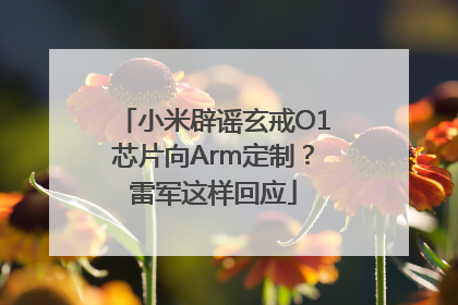 小米辟谣玄戒O1芯片向Arm定制？雷军这样回应