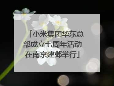 小米集团华东总部成立七周年活动在南京建邺举行