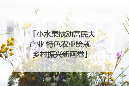 小水果撬动富民大产业 特色农业绘就乡村振兴新画卷