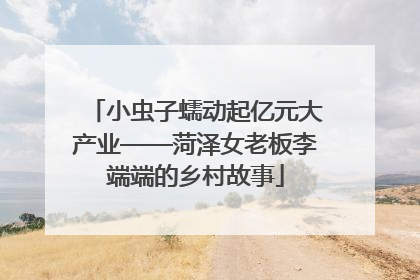 小虫子蠕动起亿元大产业——菏泽女老板李端端的乡村故事