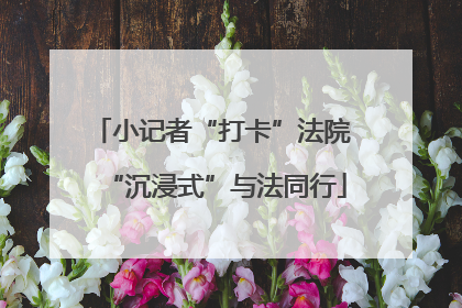小记者“打卡”法院 “沉浸式”与法同行