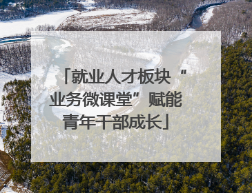 就业人才板块“业务微课堂”赋能青年干部成长