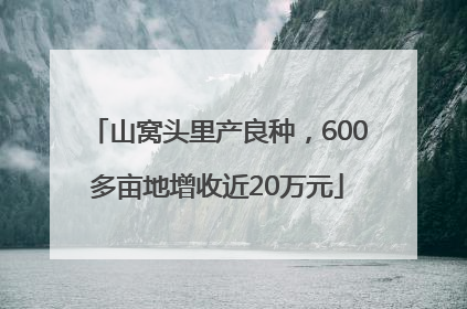 山窝头里产良种，600多亩地增收近20万元