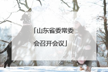 山东省委常委会召开会议