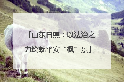 山东日照：以法治之力绘就平安“枫”景