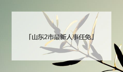 山东2市最新人事任免