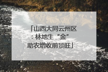 山西大同云州区：林地生“金” 助农增收前景旺