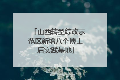 山西转型综改示范区新增八个博士后实践基地