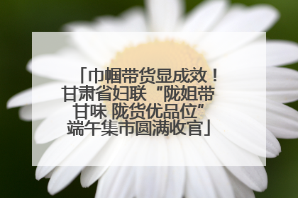 巾帼带货显成效！甘肃省妇联“陇姐带甘味 陇货优品位”端午集市圆满收官