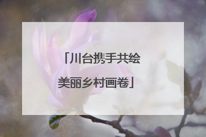 川台携手共绘美丽乡村画卷