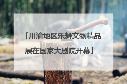 川渝地区乐舞文物精品展在国家大剧院开幕