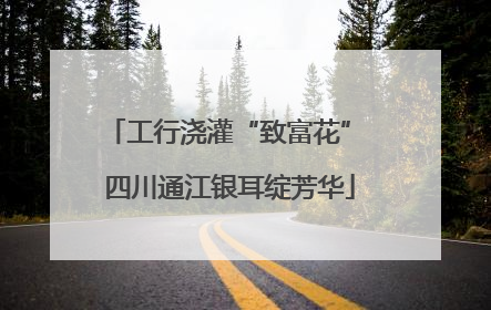 工行浇灌“致富花” 四川通江银耳绽芳华