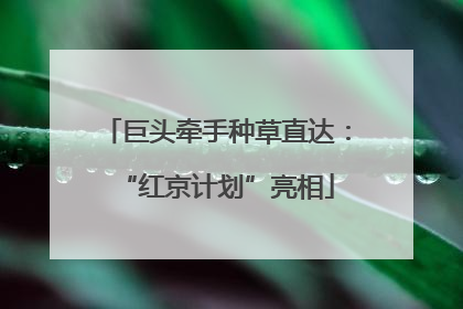 巨头牵手种草直达：“红京计划”亮相