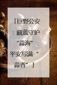 巨野公安：藏蓝守护“蒜海” 平安写满“蒜香”