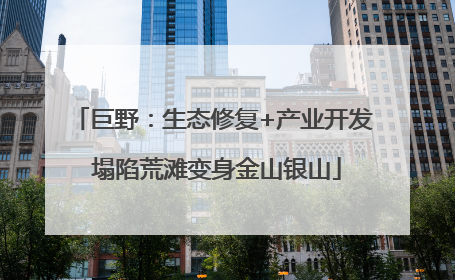 巨野：生态修复+产业开发 塌陷荒滩变身金山银山