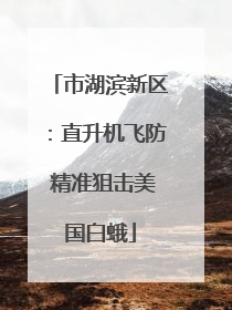 市湖滨新区：直升机飞防 精准狙击美国白蛾