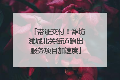 带证交付！潍坊潍城北关街道跑出服务项目加速度