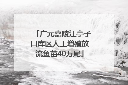 广元嘉陵江亭子口库区人工增殖放流鱼苗40万尾