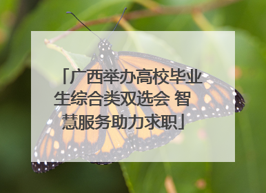 广西举办高校毕业生综合类双选会 智慧服务助力求职