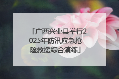 广西兴业县举行2025年防汛应急抢险救援综合演练