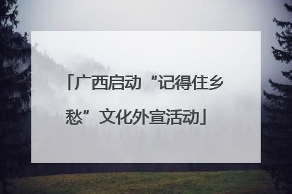 广西启动“记得住乡愁”文化外宣活动