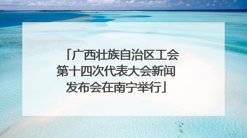 广西壮族自治区工会第十四次代表大会新闻发布会在南宁举行