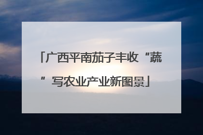广西平南茄子丰收“蔬”写农业产业新图景