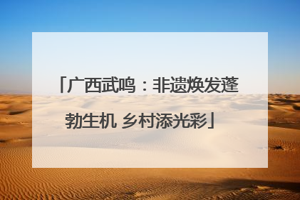 广西武鸣：非遗焕发蓬勃生机 乡村添光彩
