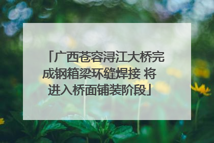 广西苍容浔江大桥完成钢箱梁环缝焊接 将进入桥面铺装阶段