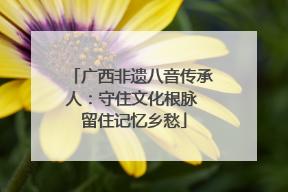 广西非遗八音传承人：守住文化根脉 留住记忆乡愁