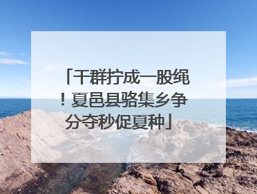 干群拧成一股绳！夏邑县骆集乡争分夺秒促夏种