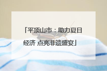 平顶山市：助力夏日经济 点亮非遗盛宴
