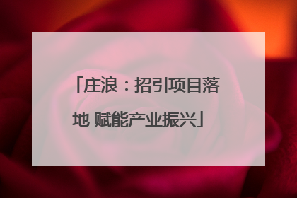 庄浪：招引项目落地 赋能产业振兴