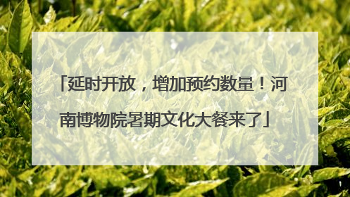 延时开放，增加预约数量！河南博物院暑期文化大餐来了