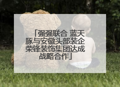强强联合 蓝天豚与安徽头部装企荣锋装饰集团达成战略合作