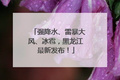 强降水、雷暴大风、冰雹，黑龙江最新发布！