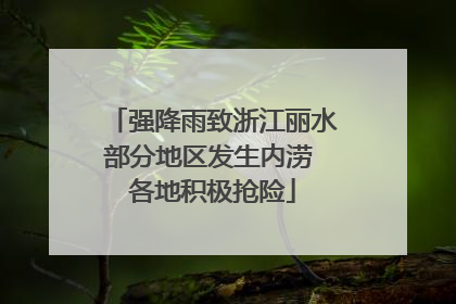 强降雨致浙江丽水部分地区发生内涝 各地积极抢险