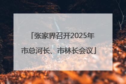 张家界召开2025年市总河长、市林长会议