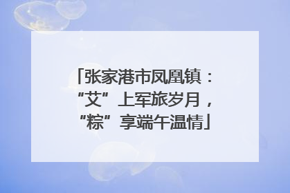 张家港市凤凰镇：“艾”上军旅岁月，“粽”享端午温情