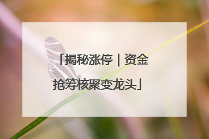 揭秘涨停｜资金抢筹核聚变龙头