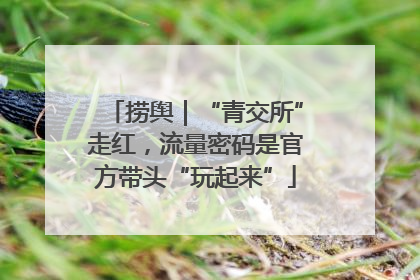 捞舆｜“青交所”走红，流量密码是官方带头“玩起来”