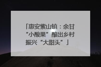 惠安紫山镇：余甘“小酸果”酿出乡村振兴“大甜头”