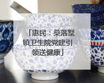 惠民：桑落墅镇卫生院党建引领送健康
