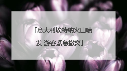 意大利埃特纳火山喷发 游客紧急撤离