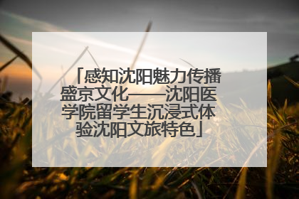 感知沈阳魅力传播盛京文化——沈阳医学院留学生沉浸式体验沈阳文旅特色