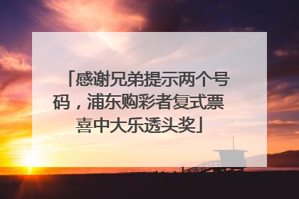 感谢兄弟提示两个号码，浦东购彩者复式票喜中大乐透头奖